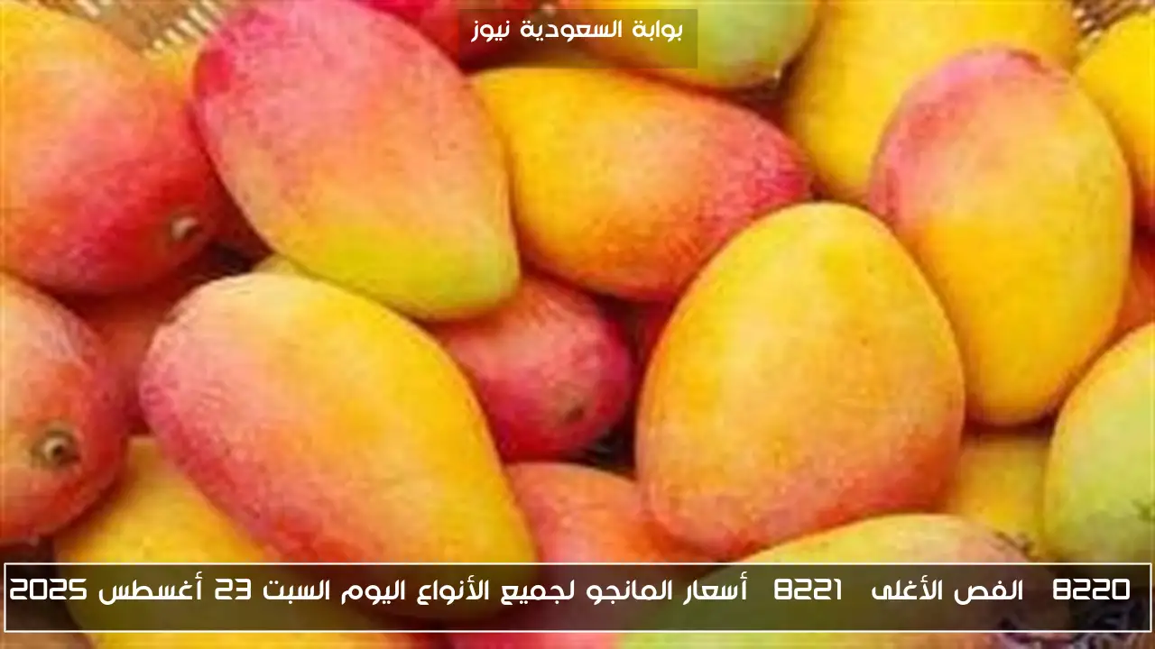 “الفص الأغلى” أسعار المانجو لجميع الأنواع اليوم السبت 23 أغسطس 2025