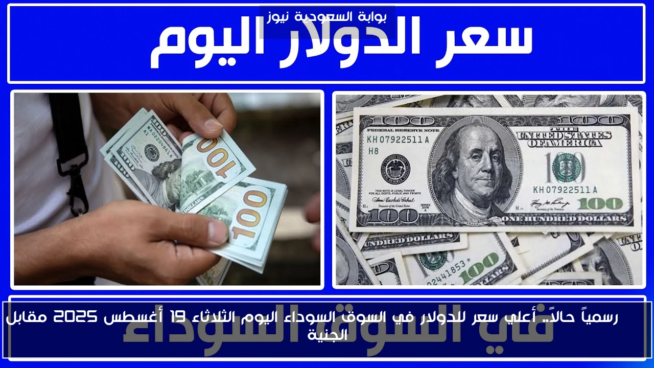 USD رسمياً حالاً.. أعلي سعر للدولار في السوق السوداء اليوم الثلاثاء 19 أغسطس 2025 مقابل الجنية