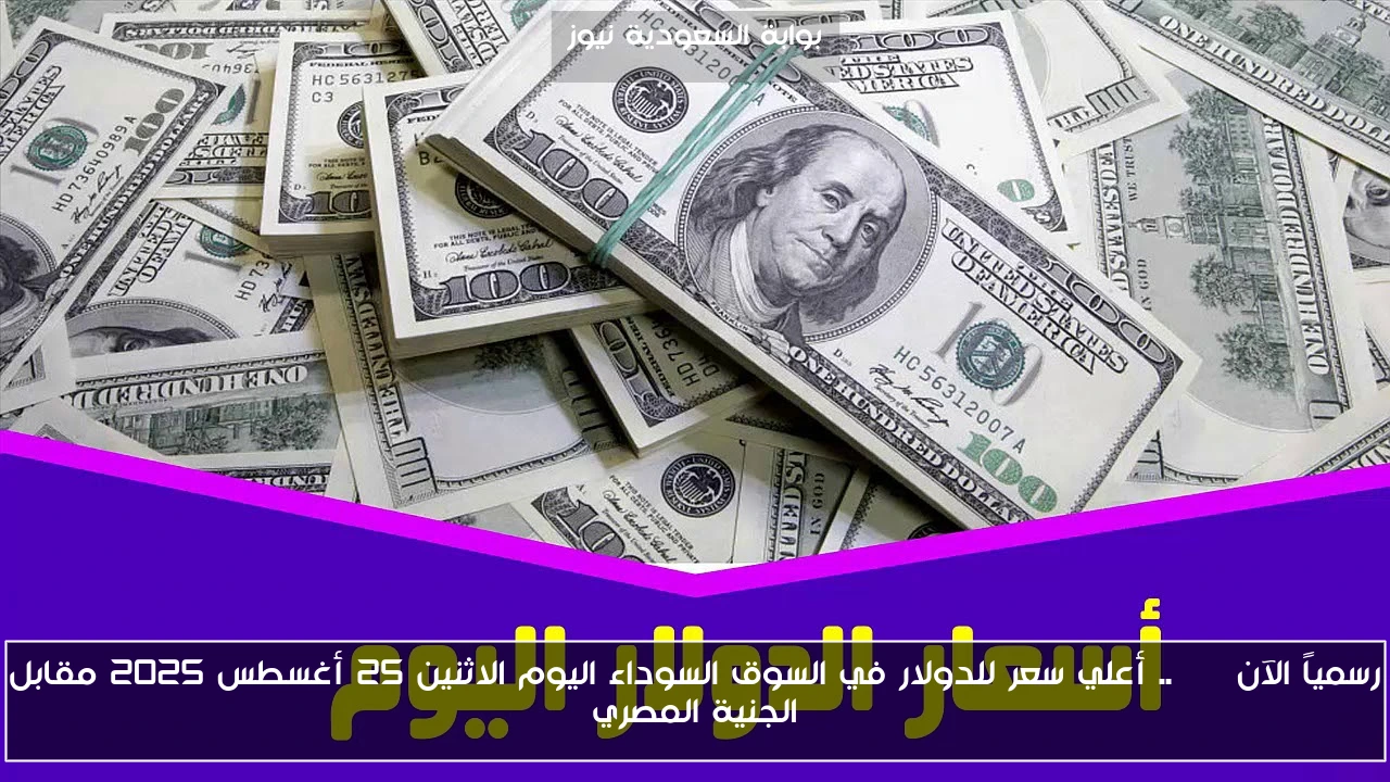 رسمياً الآن USD.. أعلي سعر للدولار في السوق السوداء اليوم الاثنين 25 أغسطس 2025 مقابل الجنية المصري