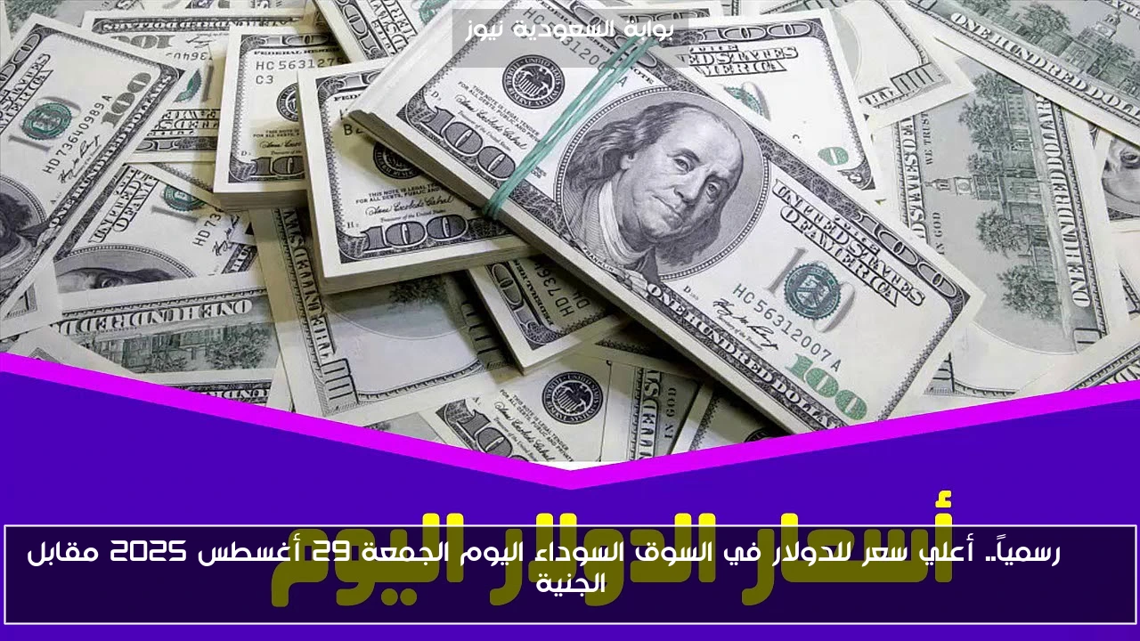 USD رسمياً.. أعلي سعر للدولار في السوق السوداء اليوم الجمعة 29 أغسطس 2025 مقابل الجنية