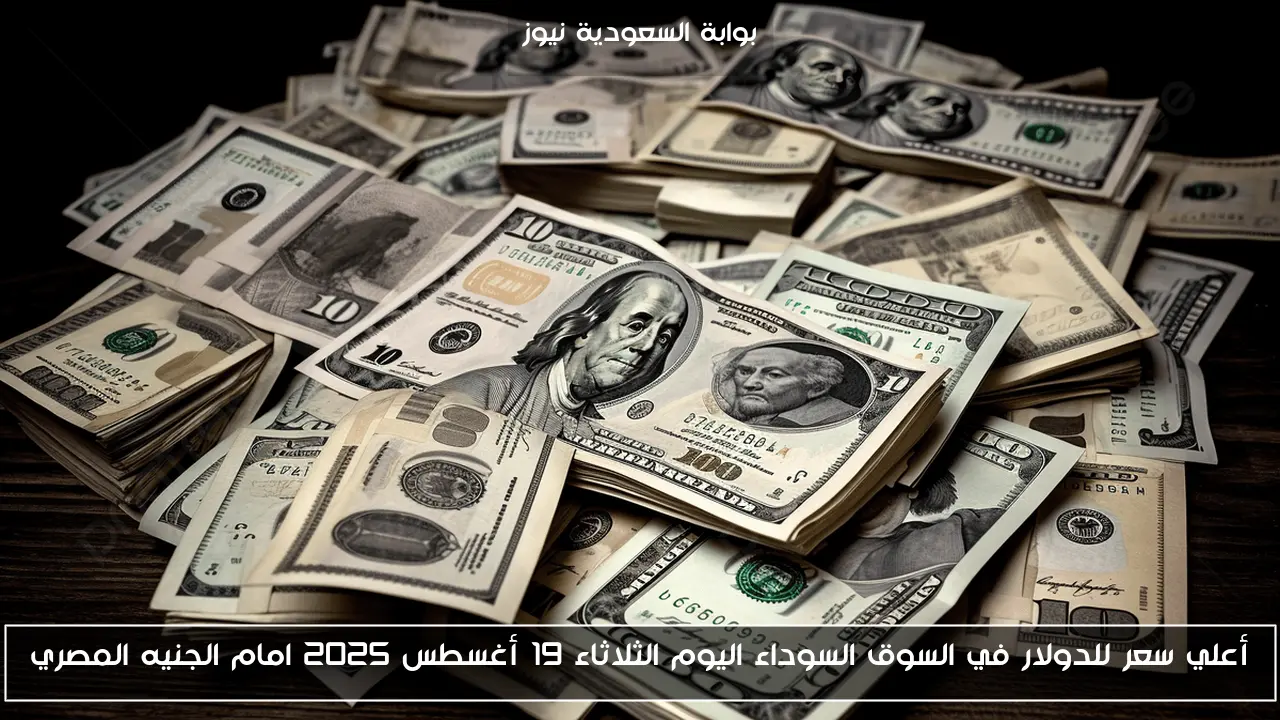 أعلي سعر للدولار في السوق السوداء اليوم الثلاثاء 19 أغسطس 2025 امام الجنيه المصري