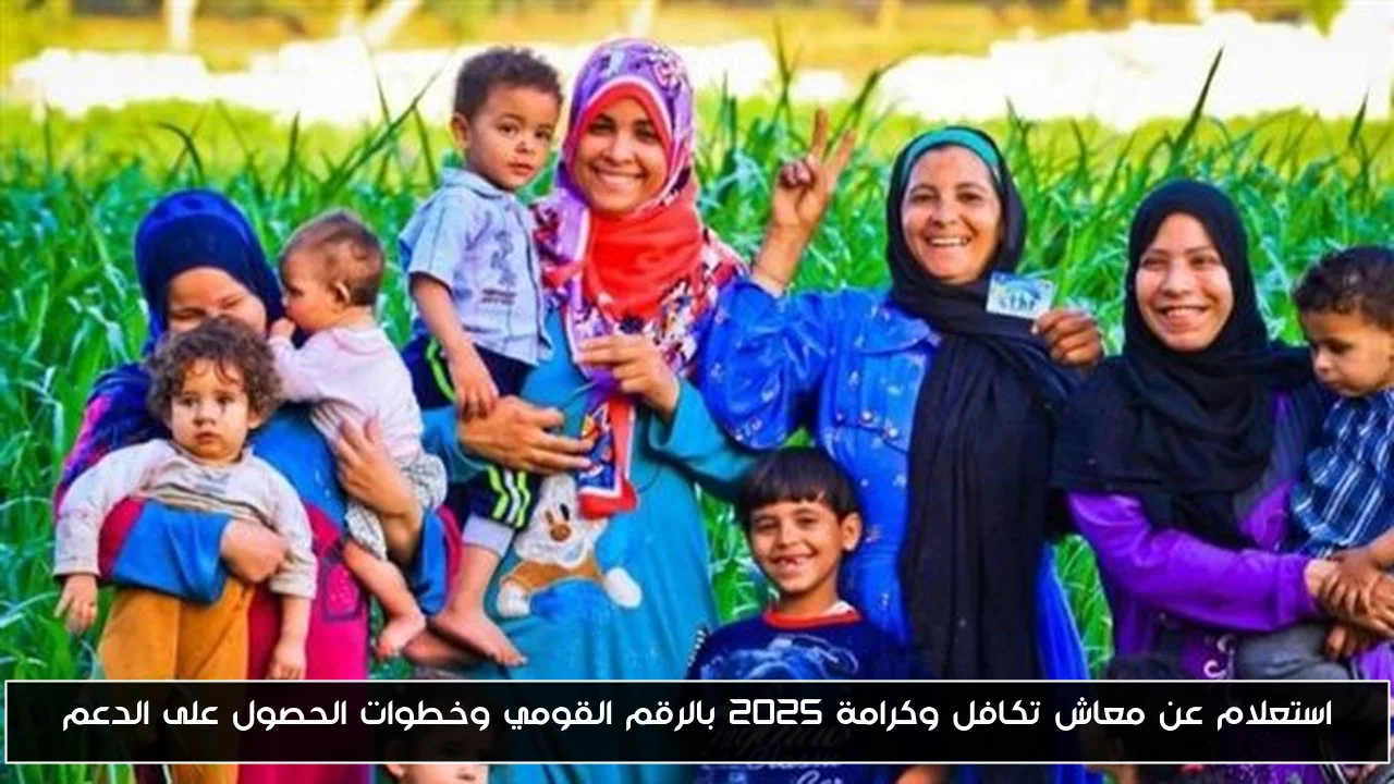 استعلام عن معاش تكافل وكرامة 2025 بالرقم القومي وخطوات الحصول على الدعم