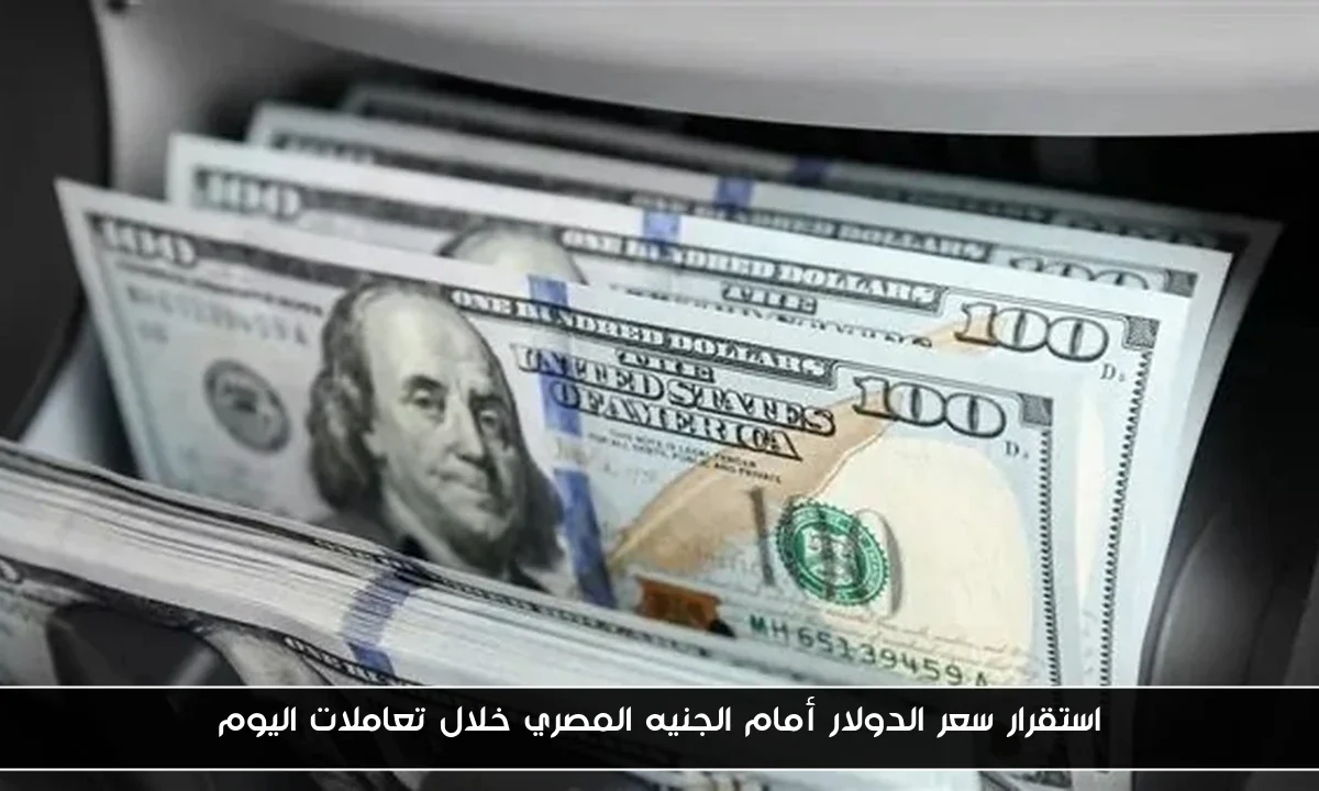 استقرار سعر الدولار أمام الجنيه المصري خلال تعاملات اليوم