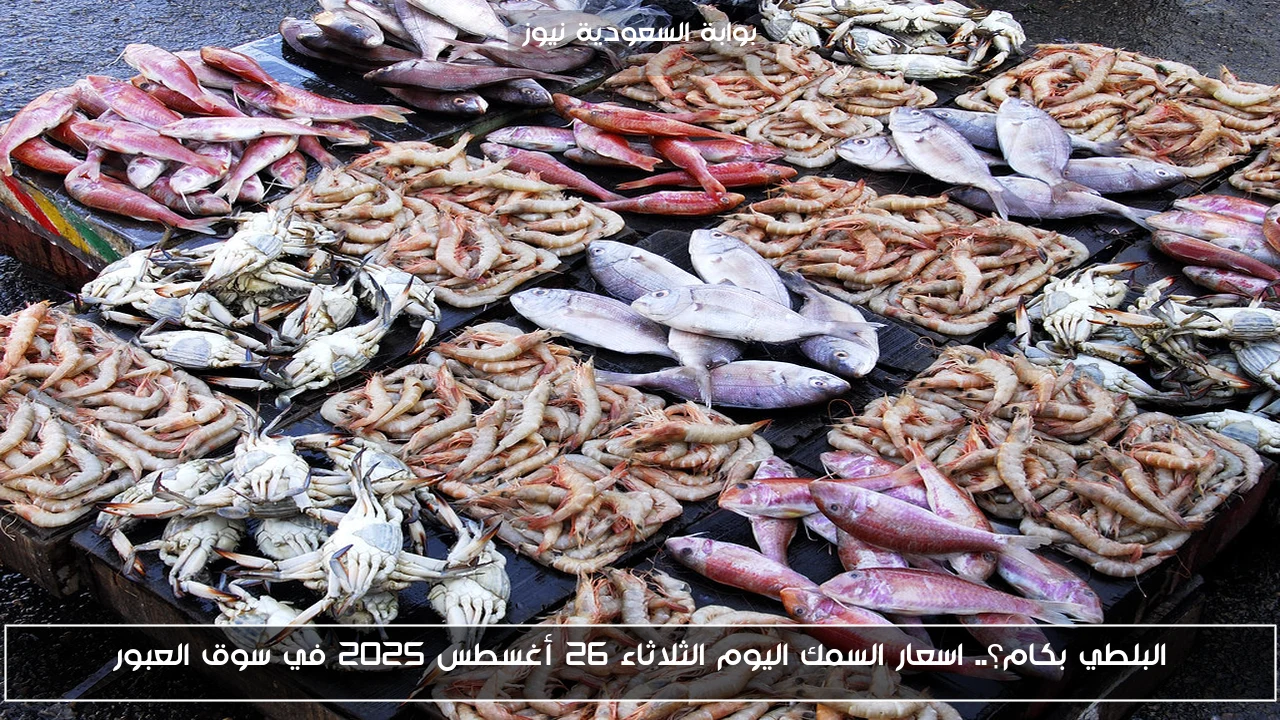 البلطي بكام؟.. اسعار السمك اليوم الثلاثاء 26 أغسطس 2025 في سوق العبور