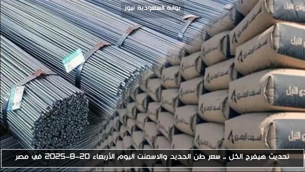 تحديث هيفرح الكل .. سعر طن الحديد والاسمنت اليوم الأربعاء 20-8-2025 في مصر