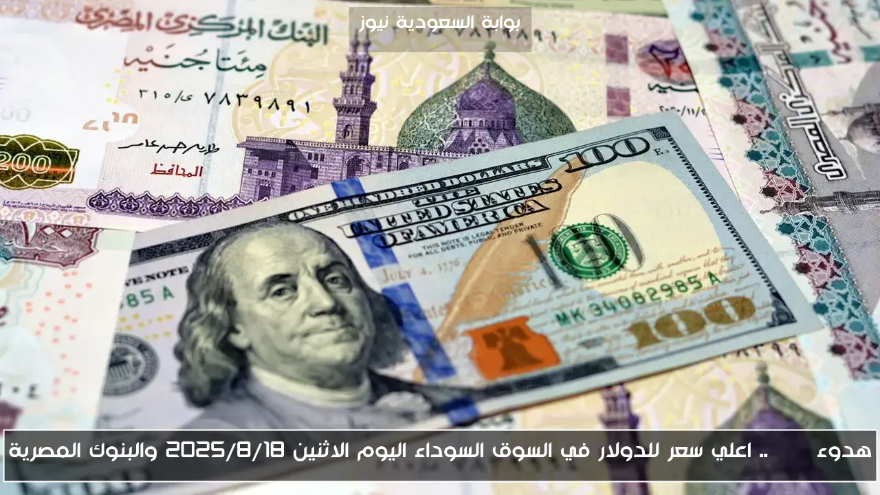 هدوء USD .. اعلي سعر للدولار في السوق السوداء اليوم الاثنين 2025/8/18 والبنوك المصرية