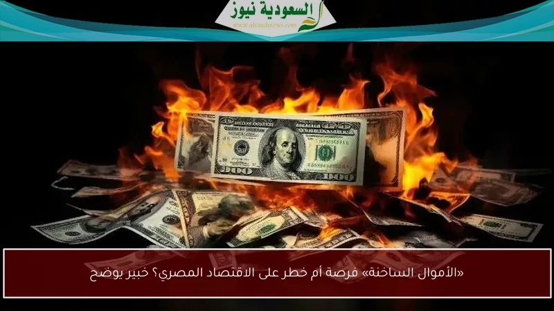 «الأموال الساخنة» فرصة أم خطر على الاقتصاد المصري؟ خبير يوضح