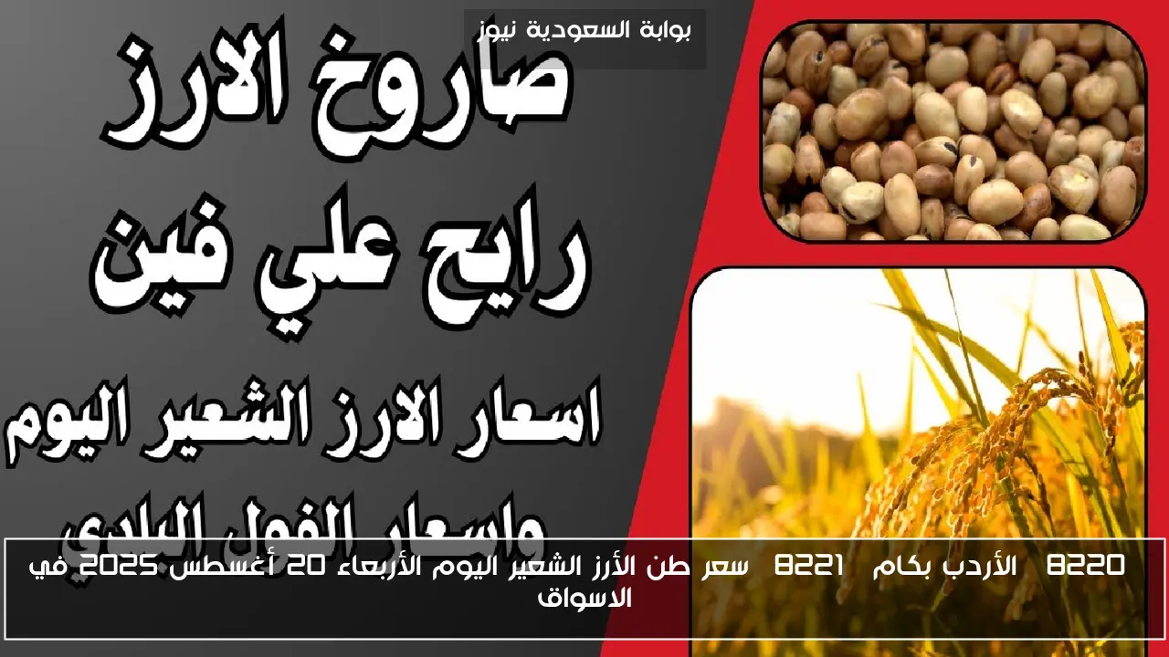 “الأردب بكام” سعر طن الأرز الشعير اليوم الأربعاء 20 أغسطس 2025 في الاسواق