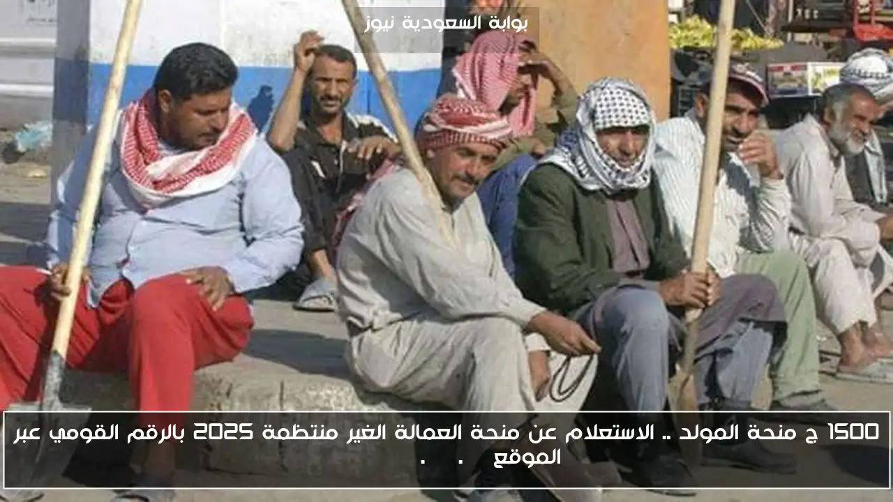 1500 ج منحة المولد .. الاستعلام عن منحة العمالة الغير منتظمة 2025 بالرقم القومي عبر الموقع manpower.gov.eg