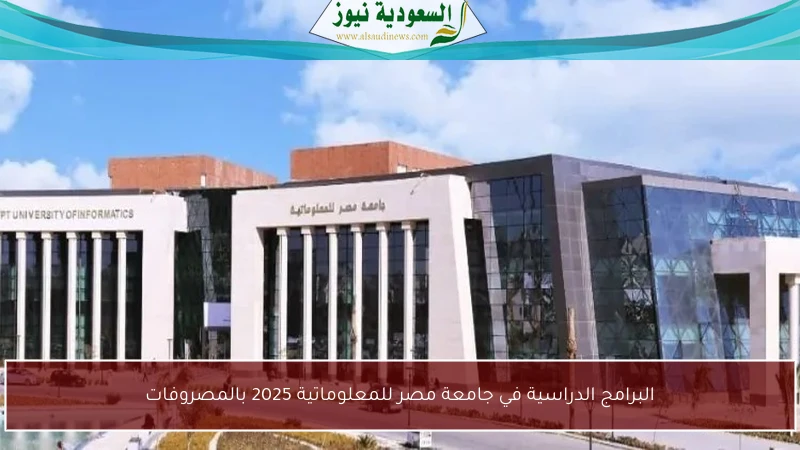 البرامج الدراسية في جامعة مصر للمعلوماتية 2025 بالمصروفات