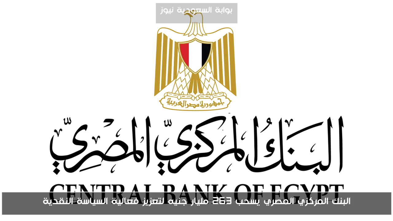 البنك المركزي المصري يسحب 263 مليار جنيه لتعزيز فعالية السياسة النقدية