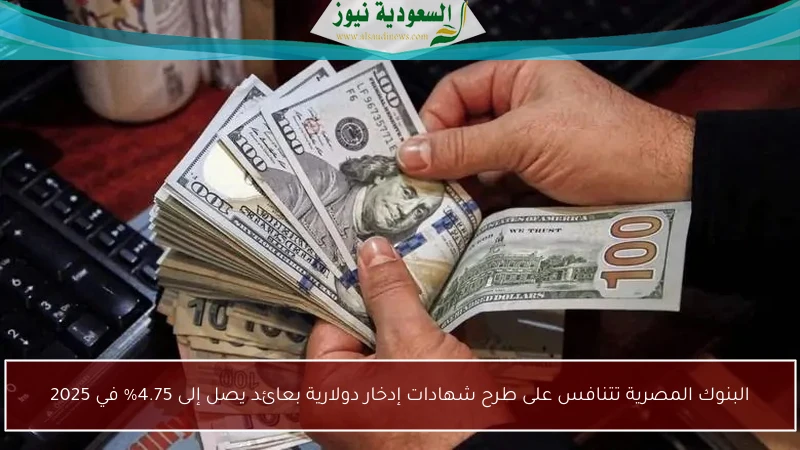 البنوك المصرية تتنافس على طرح شهادات إدخار دولارية بعائد يصل إلى 4.75% في 2025