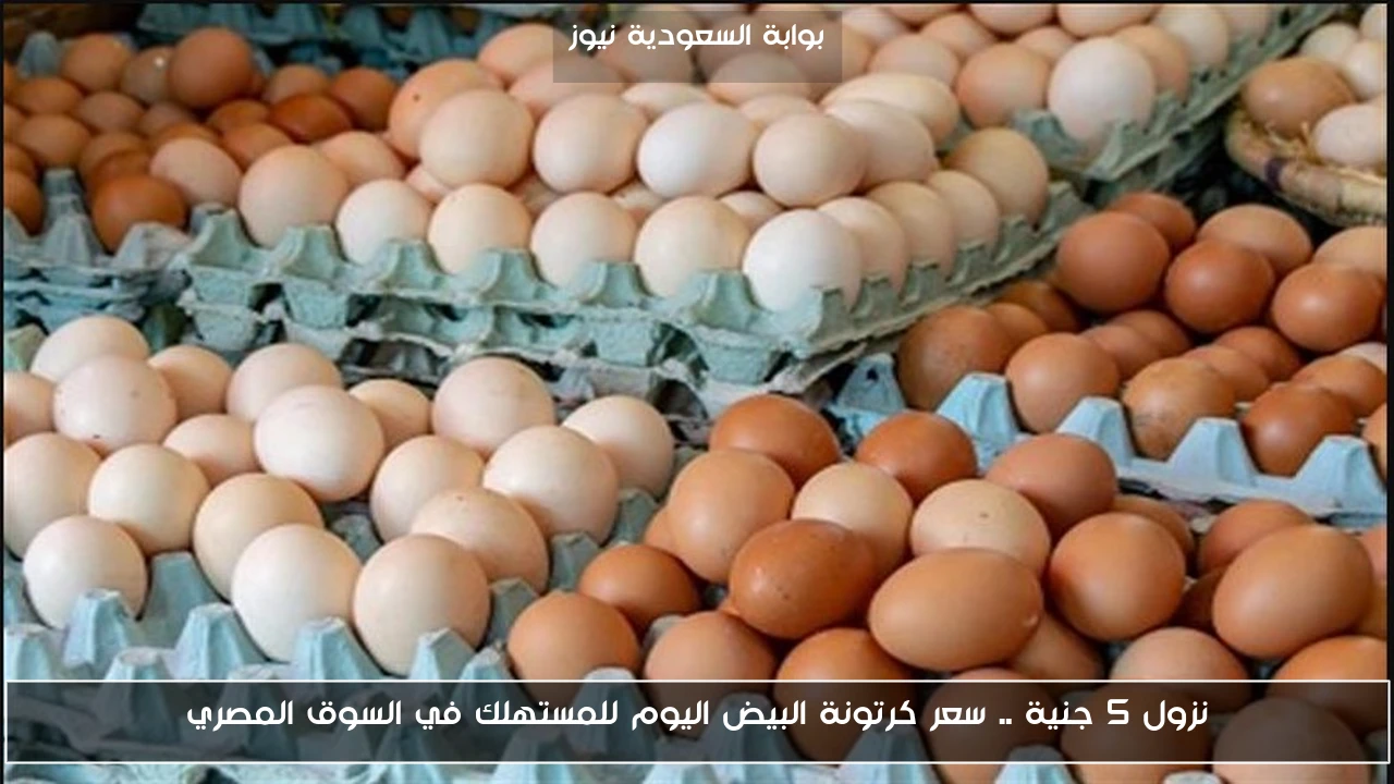 نزول 5 جنية .. سعر كرتونة البيض اليوم للمستهلك في السوق المصري