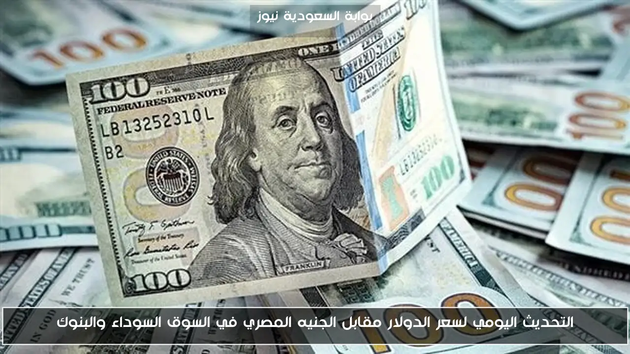 التحديث اليومي لسعر الدولار مقابل الجنيه المصري في السوق السوداء والبنوك