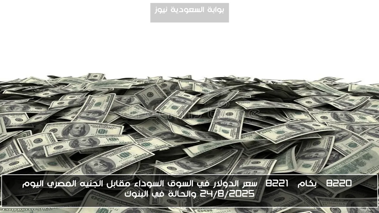 “بكام” سعر الدولار في السوق السوداء مقابل الجنيه المصري اليوم 24/8/2025 والحالة في البنوك