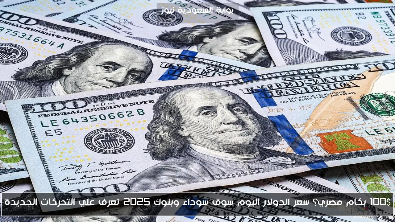 100$ بكام مصري؟ سعر الدولار اليوم سوق سوداء وبنوك 2025 تعرف علي التحركات الجديدة