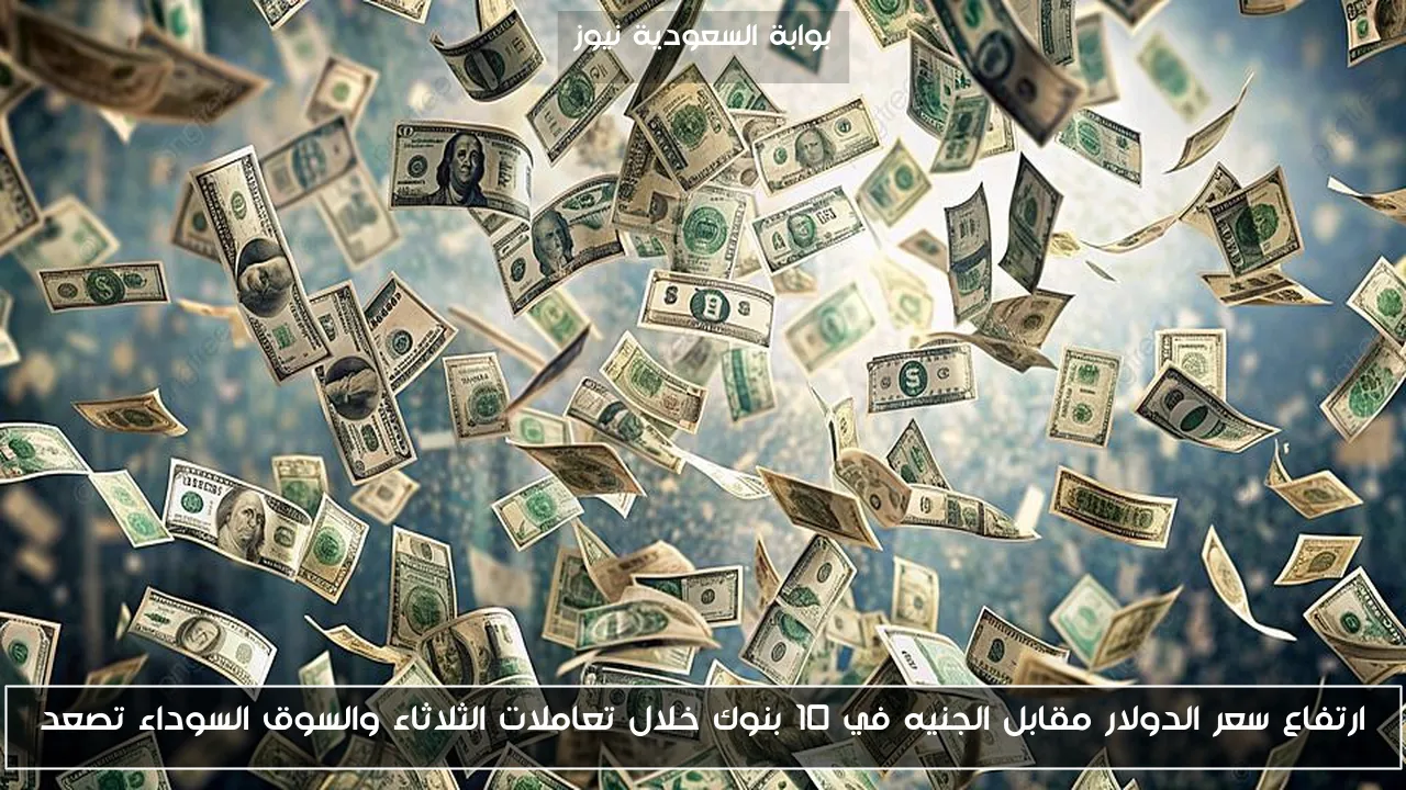 ارتفاع سعر الدولار مقابل الجنيه في 10 بنوك خلال تعاملات الثلاثاء والسوق السوداء تصعد