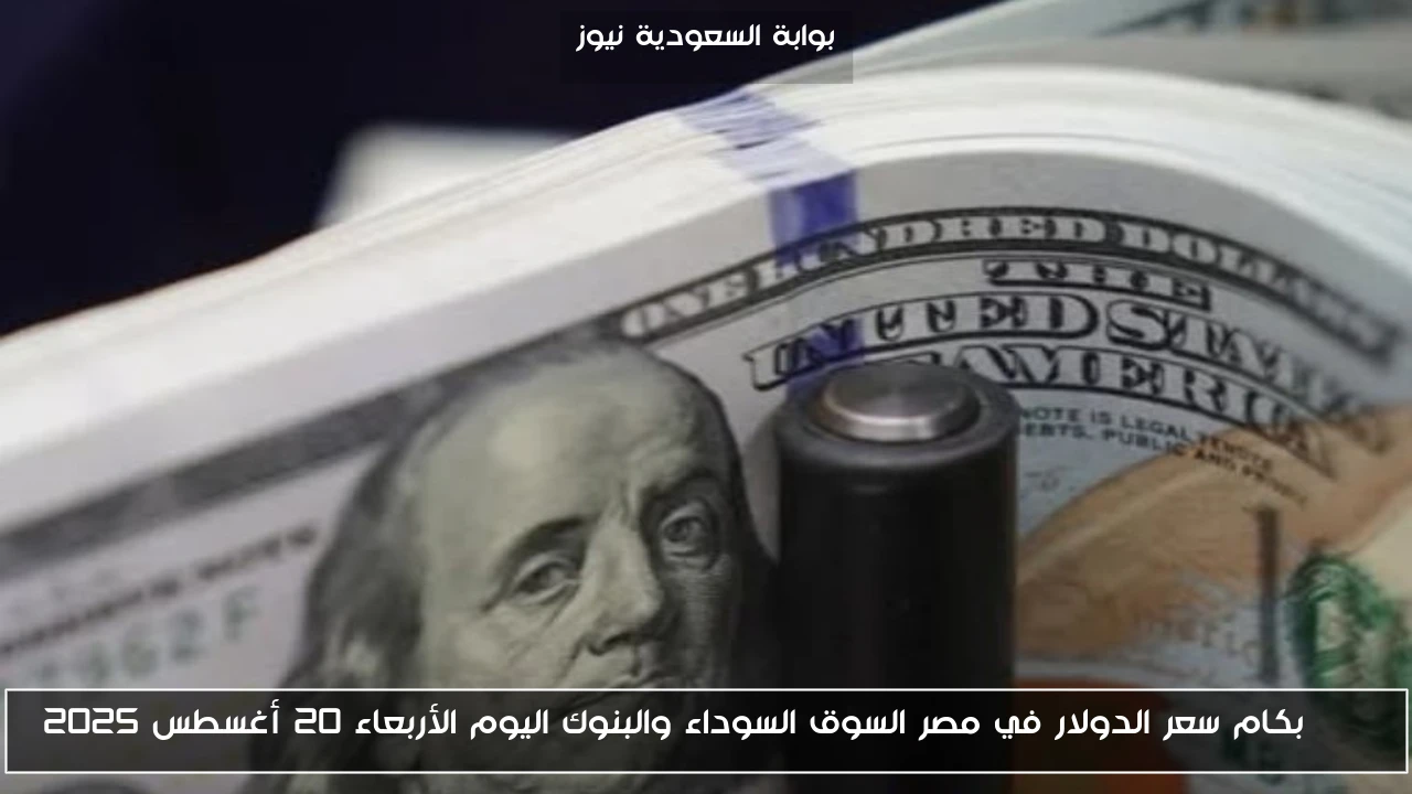 USD بكام سعر الدولار في مصر السوق السوداء والبنوك اليوم الأربعاء 20 أغسطس 2025