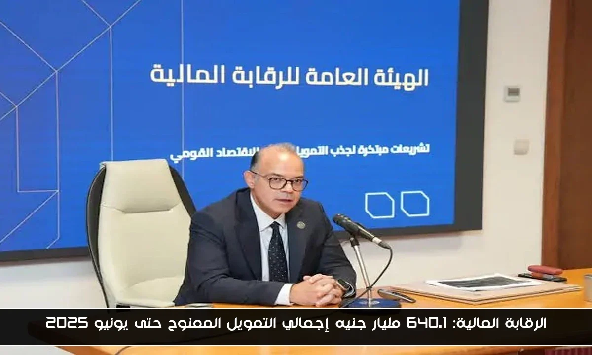 الرقابة المالية: 640.1 مليار جنيه إجمالي التمويل الممنوح حتى يونيو 2025