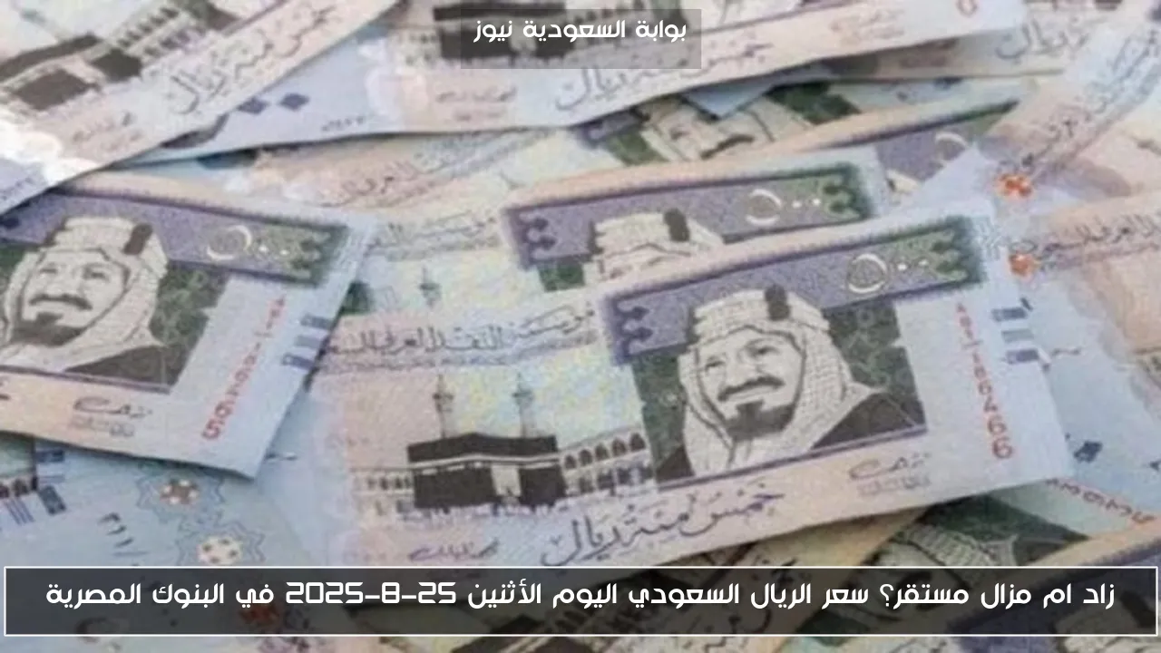 زاد ام مزال مستقر؟ سعر الريال السعودي اليوم الأثنين 25-8-2025 في البنوك المصرية