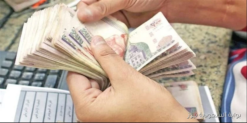موعد صرف معاشات شهر سبتمبر 2025 والاستعلام عنها من موقع التأمينات nosi.gov.eg