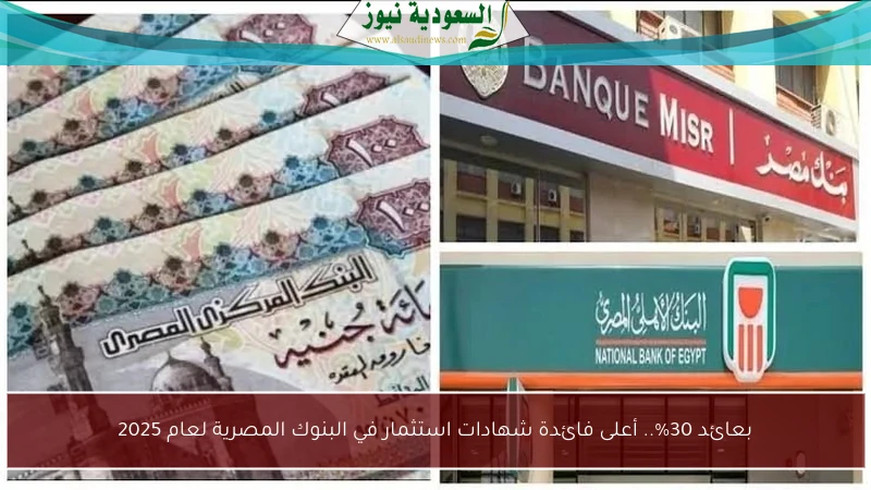 بعائد 30%.. أعلى فائدة شهادات استثمار في البنوك المصرية لعام 2025