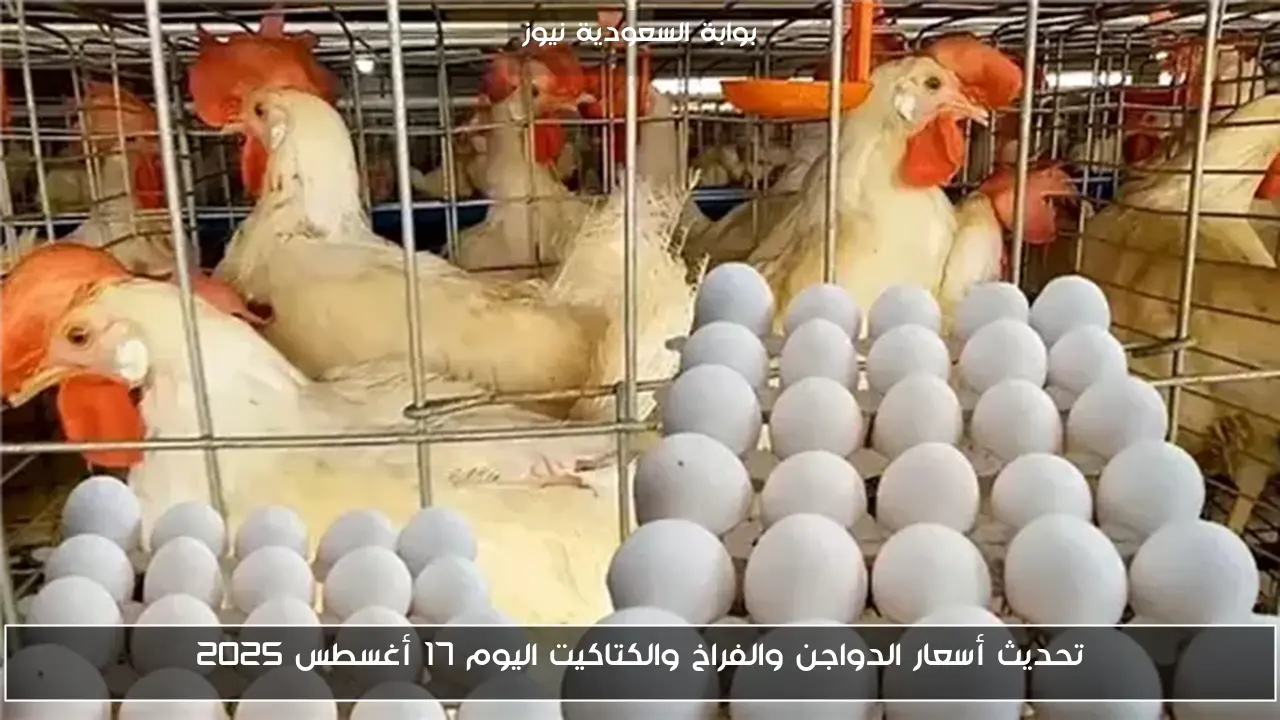 تحديث أسعار الدواجن والفراخ والكتاكيت اليوم 17 أغسطس 2025