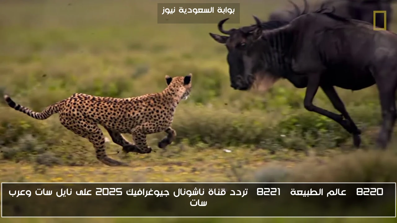 “عالم الطبيعة” تردد قناة ناشونال جيوغرافيك 2025 على نايل سات وعرب سات