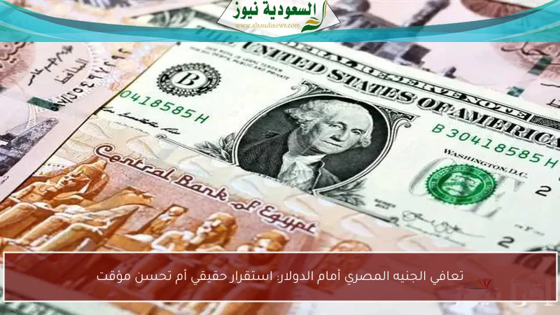 تعافي الجنيه المصري أمام الدولار: استقرار حقيقي أم تحسن مؤقت