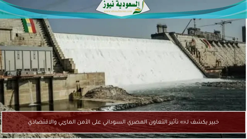 خبير يكشف لـ«» تأثير التعاون المصري السوداني على الأمن المائي والاقتصادي