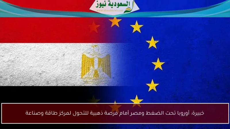 خبيرة: أوروبا تحت الضغط ومصر أمام فرصة ذهبية للتحول لمركز طاقة وصناعة