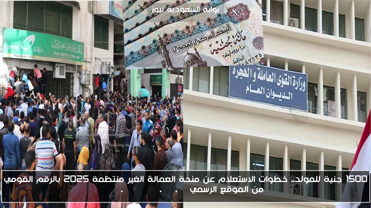 1500 جنية للمولد.. خطوات الاستعلام عن منحة العمالة الغير منتظمة 2025 بالرقم القومي من الموقع الرسمي www.manpower.gov.eg