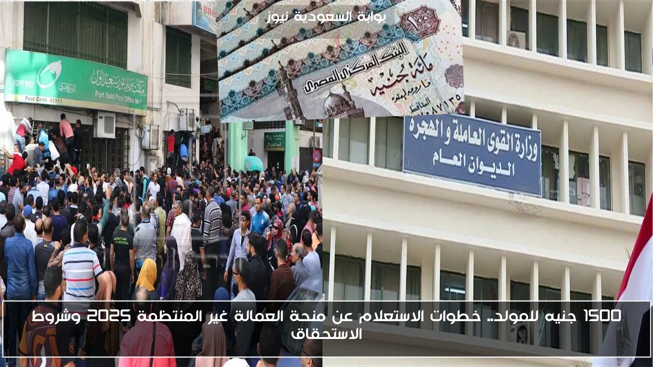 1500 جنيه للمولد.. خطوات الاستعلام عن منحة العمالة غير المنتظمة 2025 وشروط الاستحقاق