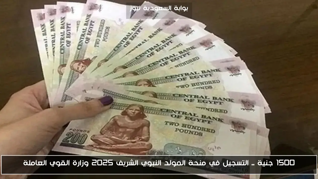 1500 جنية .. التسجيل في منحة المولد النبوي الشريف 2025 وزارة القوي العاملة