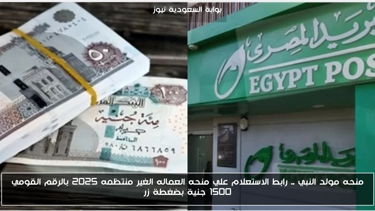 منحه مولد النبي .. رابط الاستعلام علي منحه العماله الغير منتظمه 2025 بالرقم القومي 1500 جنية بضغطة زر