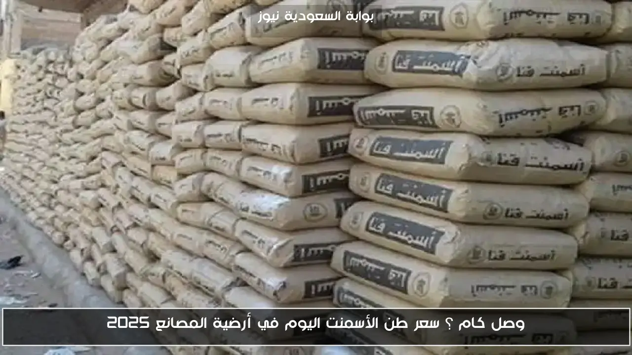 وصل كام ؟ سعر طن الأسمنت اليوم في أرضية المصانع 2025