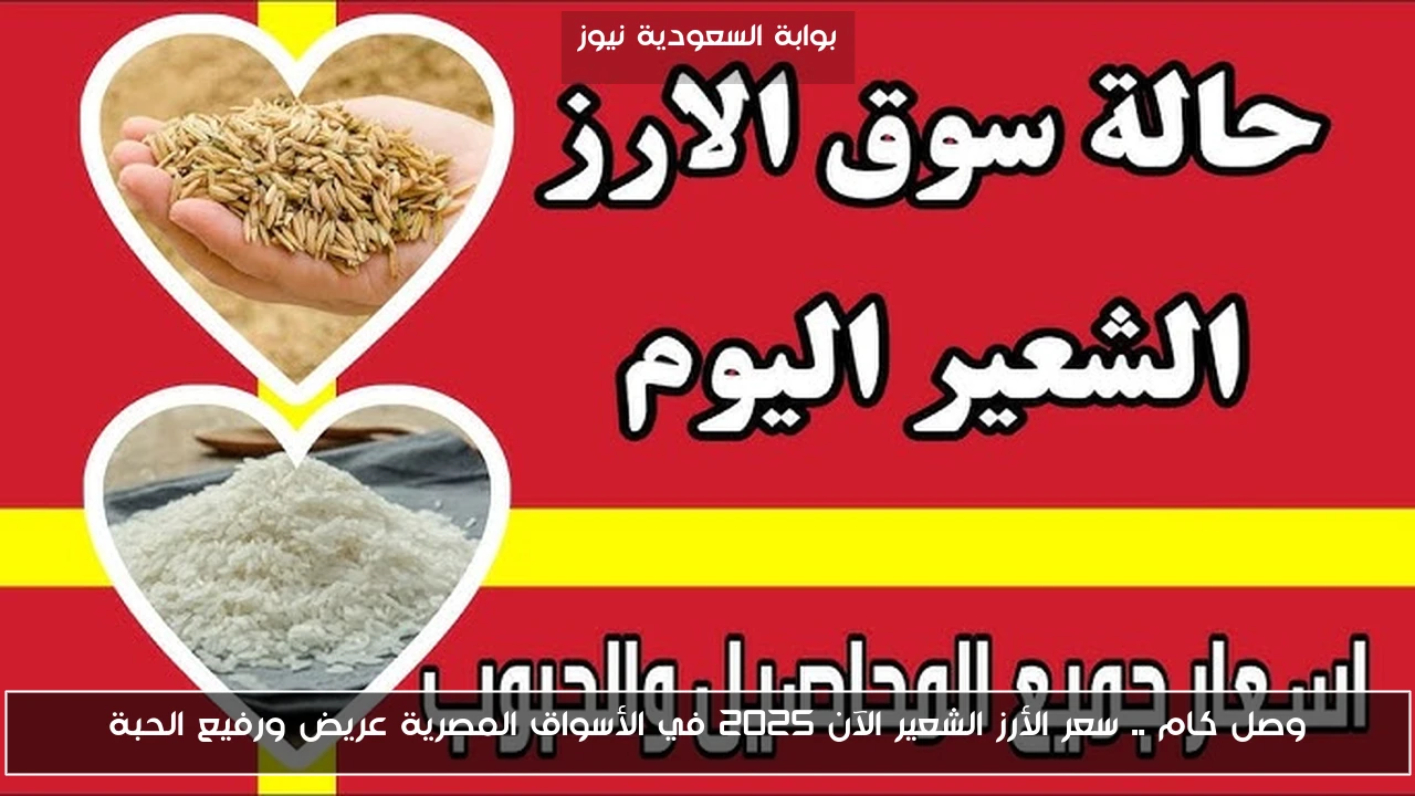 وصل كام .. سعر الأرز الشعير الآن 2025 في الأسواق المصرية عريض ورفيع الحبة