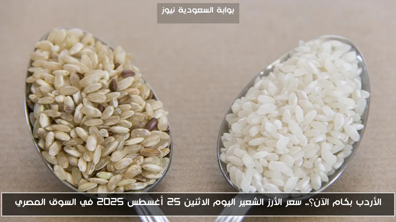 الأردب بكام الآن؟.. سعر الأرز الشعير اليوم الاثنين 25 أغسطس 2025 في السوق المصري
