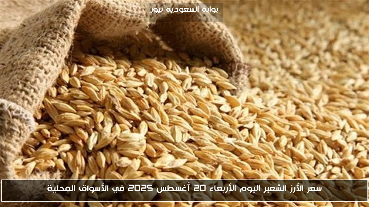 سعر الأرز الشعير اليوم الأربعاء 20 أغسطس 2025 في الأسواق المحلية