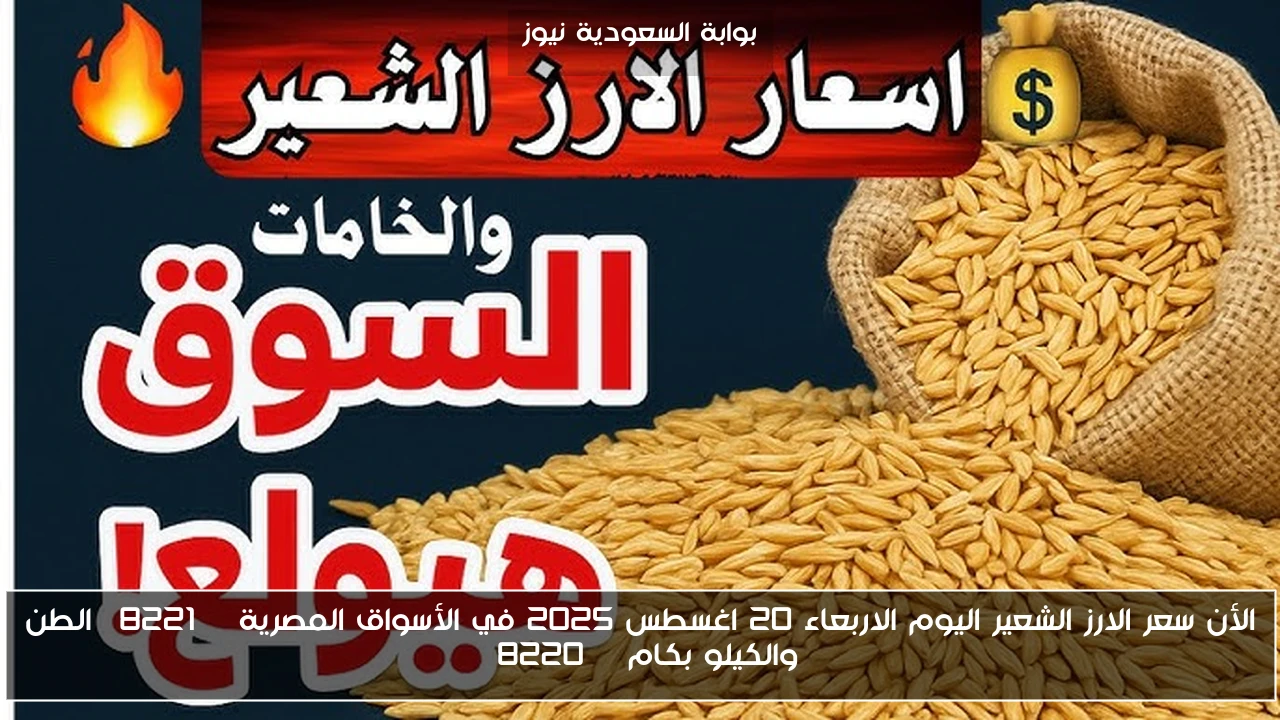 الأن سعر الارز الشعير اليوم الاربعاء 20 اغسطس 2025 في الأسواق المصرية ” الطن والكيلو بكام “