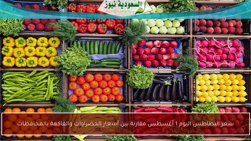 سعر البطاطس اليوم 1 أغسطس مقارنة بين أسعار الخضراوات والفاكهة بالمحافظات