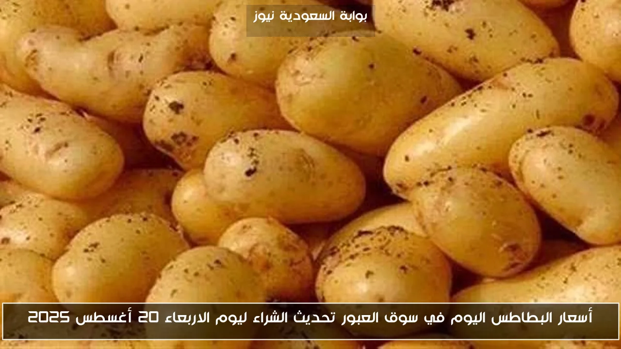 أسعار البطاطس اليوم في سوق العبور تحديث الشراء ليوم الاربعاء 20 أغسطس 2025