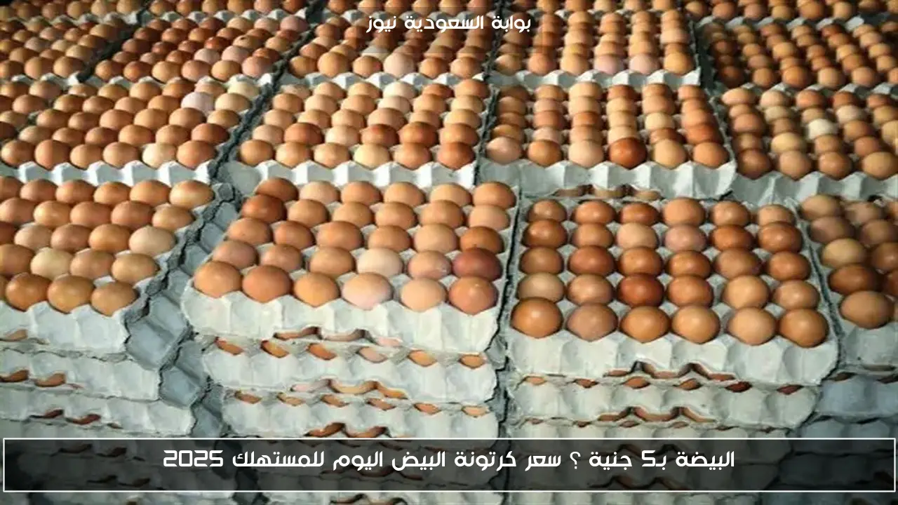 البيضة بـ5 جنية ؟ سعر كرتونة البيض اليوم للمستهلك 2025
