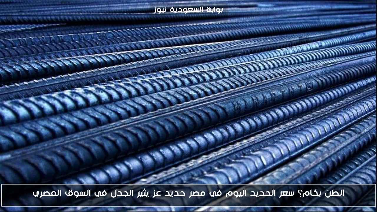الطن بكام؟ سعر الحديد اليوم في مصر حديد عز يثير الجدل في السوق المصري