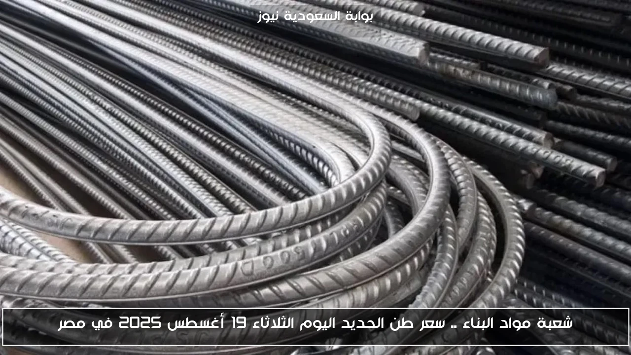شعبة مواد البناء .. سعر طن الحديد اليوم الثلاثاء 19 أغسطس 2025 في مصر