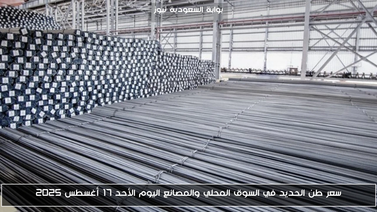 سعر طن الحديد في السوق المحلي والمصانع اليوم الأحد 17 أغسطس 2025