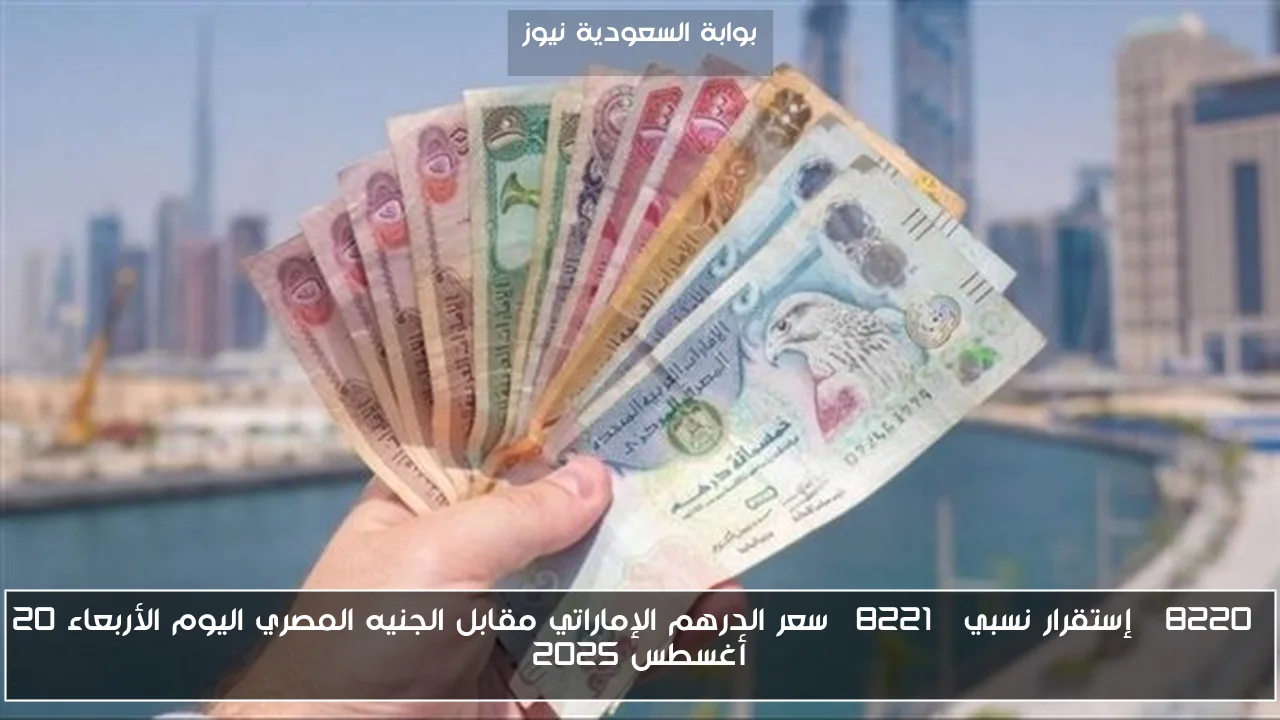 “إستقرار نسبي” سعر الدرهم الإماراتي مقابل الجنيه المصري اليوم الأربعاء 20 أغسطس 2025