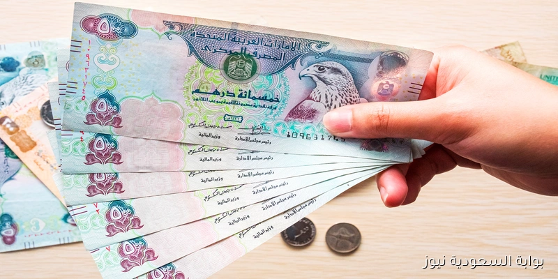 سعر الدرهم الاماراتي في السوق السوداء اليوم السبت 30 أغسطس 2025 مقابل الجنية المصري