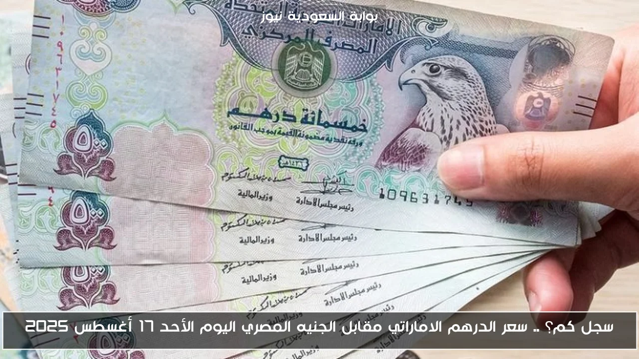 سجل كم؟ .. سعر الدرهم الاماراتي مقابل الجنيه المصري اليوم الأحد 17 أغسطس 2025
