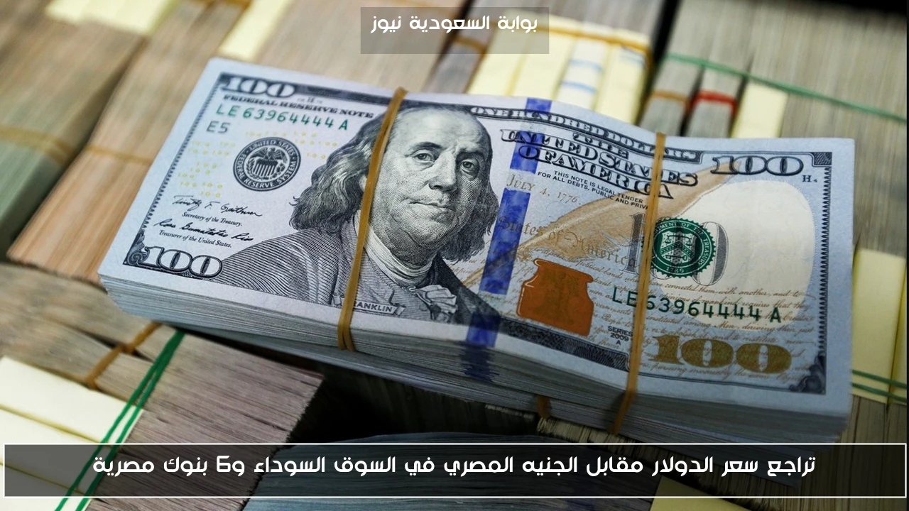 تراجع سعر الدولار مقابل الجنيه المصري في السوق السوداء و6 بنوك مصرية